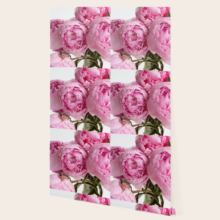 Blush Pink Peonies Wallpaper Gallery Image 2