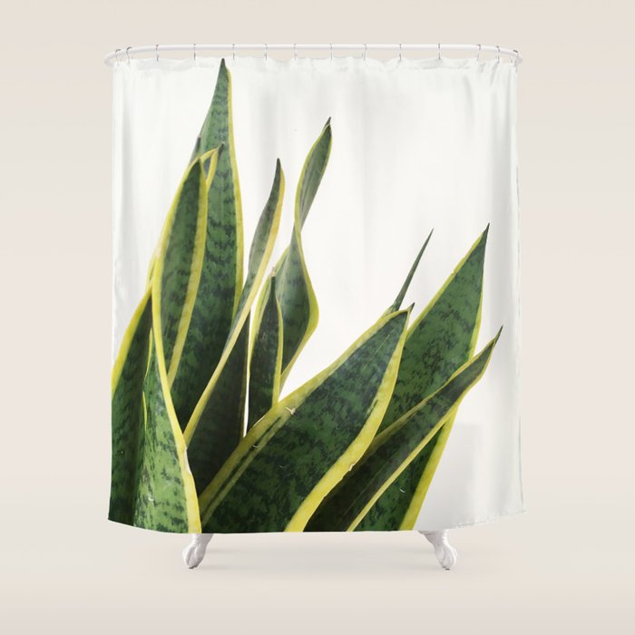 Sansevieria Shower Curtain Gallery Image 1