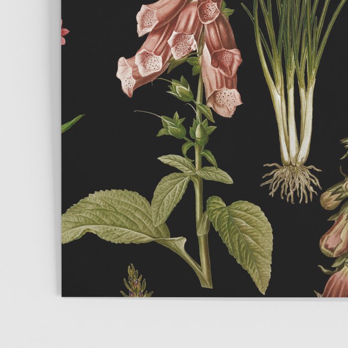 Vintage Botanical Springflowers And Herbs Midnight Garden Poster Gallery Image 3