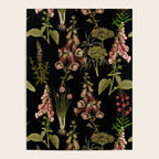 Vintage Botanical Springflowers And Herbs Midnight Garden Poster Gallery Image 4
