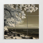 Coast 14 Wood Wall Art Gallery Image 1
