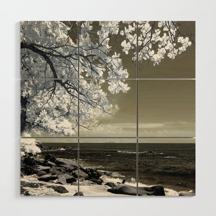 Coast 14 Wood Wall Art Gallery Image 1
