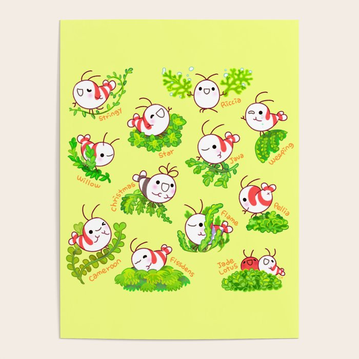 Shy shrimp and moss Poster Gallery Image 4
