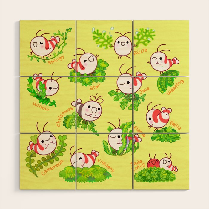 Shy shrimp and moss Wood Wall Art Gallery Image 1