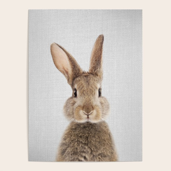 Rabbit - Colorful Poster Gallery Image 4