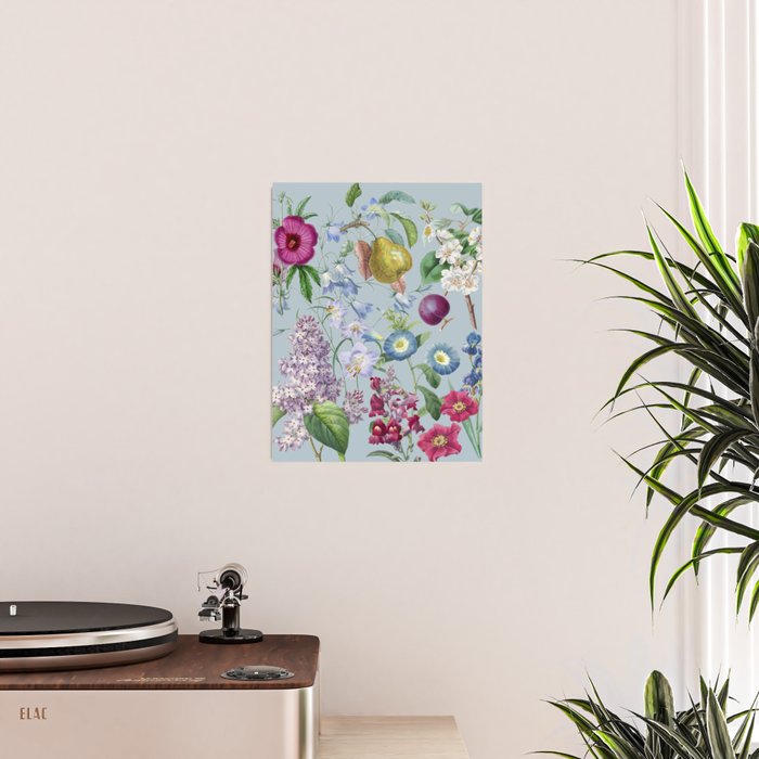Summer Fruits Botanical Illustration Collage In Blue  Poster Gallery Image 2
