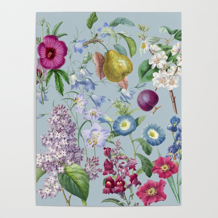Summer Fruits Botanical Illustration Collage In Blue  Poster Gallery Image 1