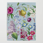 Summer Fruits Botanical Illustration Collage In Blue  Poster Gallery Image 4