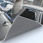 Llama Riding In Taxi In Color Rug Gallery Image 4