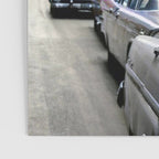 Llama Riding In Taxi In Color Poster Gallery Image 3