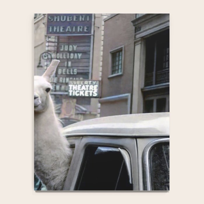 Llama Riding In Taxi In Color Notebook Gallery Image 4