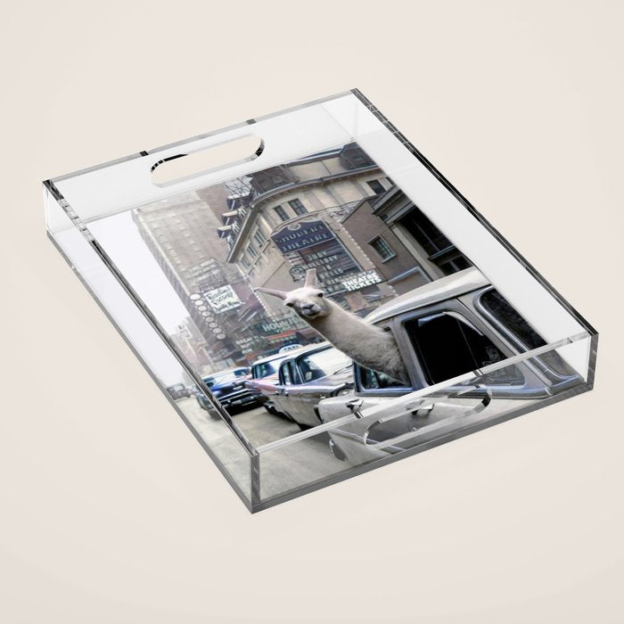 Llama Riding In Taxi In Color Acrylic Tray Gallery Image 1