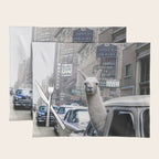 Llama Riding In Taxi In Color Placemat Gallery Image 1