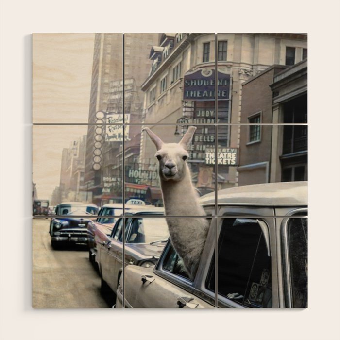 Llama Riding In Taxi In Color Wood Wall Art Gallery Image 1