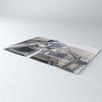 Llama Riding In Taxi In Color Rug Gallery Image 3