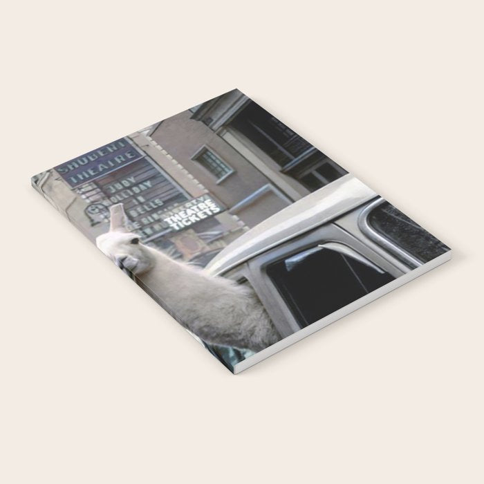 Llama Riding In Taxi In Color Notebook Gallery Image 2