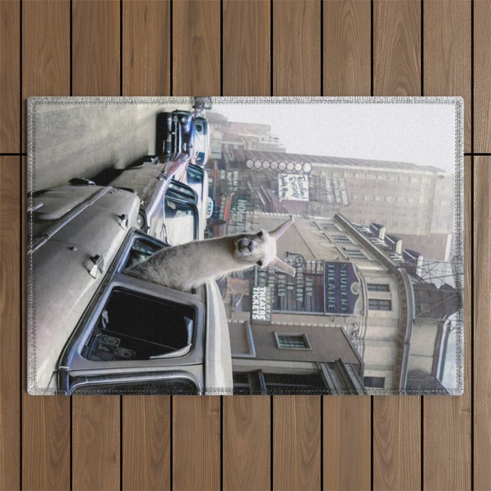 Llama Riding In Taxi In Color Outdoor Rug Gallery Image 1