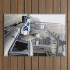 Llama Riding In Taxi In Color Outdoor Rug Gallery Image 1