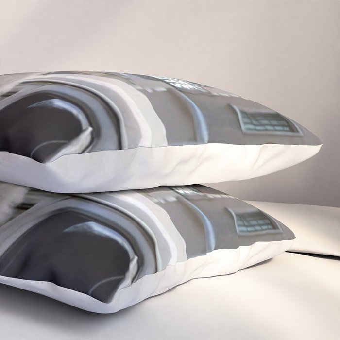 Llama Riding In Taxi In Color Pillow Sham Gallery Image 3