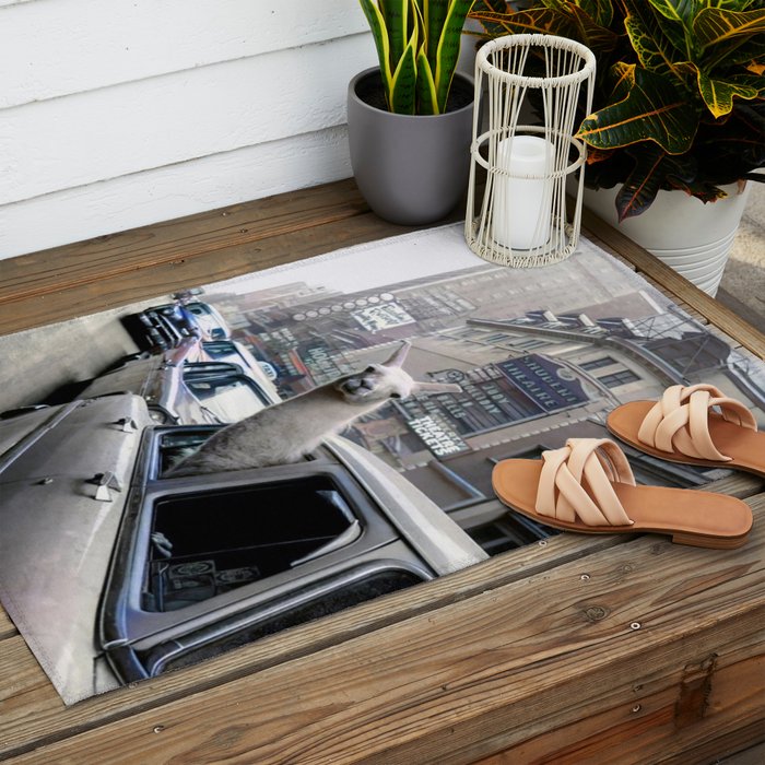 Llama Riding In Taxi In Color Outdoor Rug Gallery Image 2