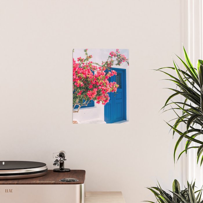 Blue Door in Santorini Greece - Pink Flowers by House - Fine Art Travel Photography Poster Gallery Image 2