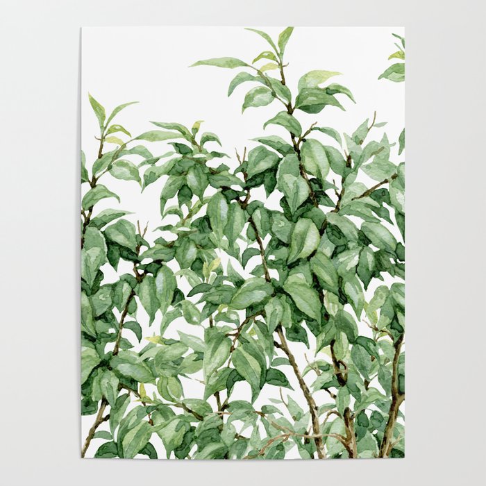 Botanic greenery Poster Gallery Image 4