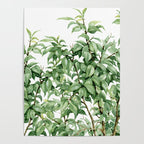 Botanic greenery Poster Gallery Image 4