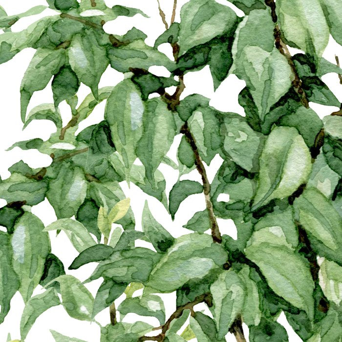 Botanic greenery Coffee Mug Gallery Image 2
