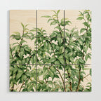 Botanic greenery Wood Wall Art Gallery Image 1