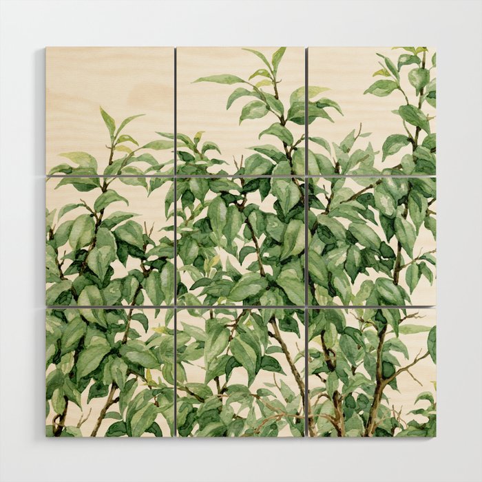 Botanic greenery Wood Wall Art Gallery Image 1