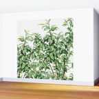 Botanic greenery Wall Mural Gallery Image 2