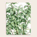 Botanic greenery Notebook Gallery Image 4