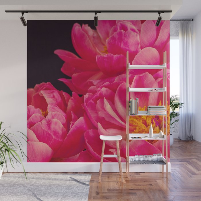 Hot Pink Peonies Wall Mural Gallery Image 1