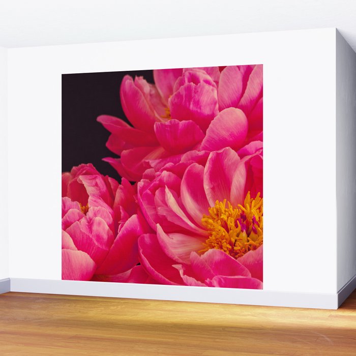 Hot Pink Peonies Wall Mural Gallery Image 2