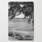 Beaufort South Carolina Spanish Moss and Sailboats Photography Cutting Board Gallery Image 1