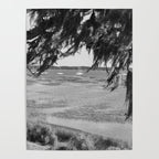 Beaufort South Carolina Spanish Moss and Sailboats Photography Poster Gallery Image 4