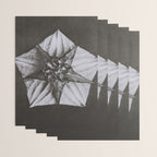 Snowbird, The Magic Garden of Nature, autumn blossom black and white photograph by Karl Blossfeldt Wrapping Paper Gallery Image 3