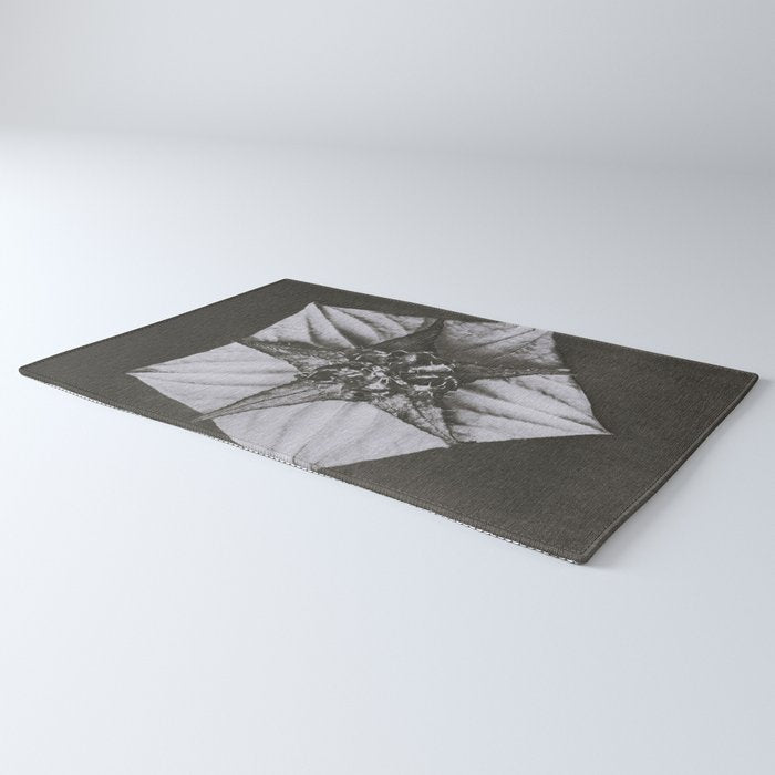 Snowbird, The Magic Garden of Nature, autumn blossom black and white photograph by Karl Blossfeldt Rug Gallery Image 3