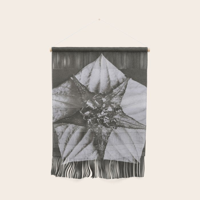 Snowbird, The Magic Garden of Nature, autumn blossom black and white photograph by Karl Blossfeldt Wall Hanging Gallery Image 1