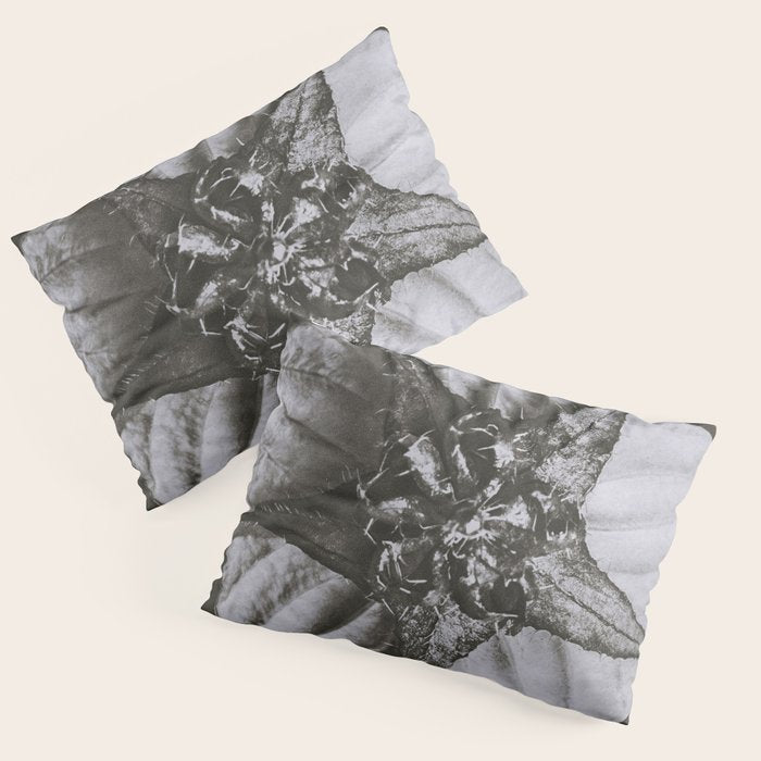 Snowbird, The Magic Garden of Nature, autumn blossom black and white photograph by Karl Blossfeldt Pillow Sham Gallery Image 3