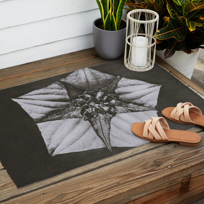 Snowbird, The Magic Garden of Nature, autumn blossom black and white photograph by Karl Blossfeldt Outdoor Rug Gallery Image 2