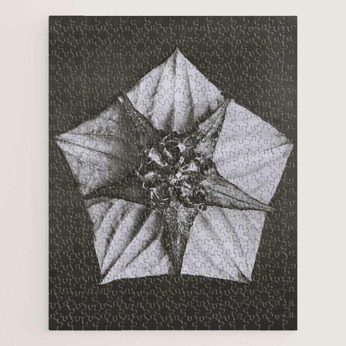 Snowbird, The Magic Garden of Nature, autumn blossom black and white photograph by Karl Blossfeldt Jigsaw Puzzle Gallery Image 1