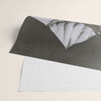 Snowbird, The Magic Garden of Nature, autumn blossom black and white photograph by Karl Blossfeldt Wrapping Paper Gallery Image 2
