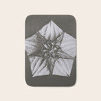 Snowbird, The Magic Garden of Nature, autumn blossom black and white photograph by Karl Blossfeldt Bath Mat Gallery Image 1