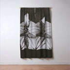 Snowbird, The Magic Garden of Nature, autumn blossom black and white photograph by Karl Blossfeldt Window Curtain Gallery Image 3