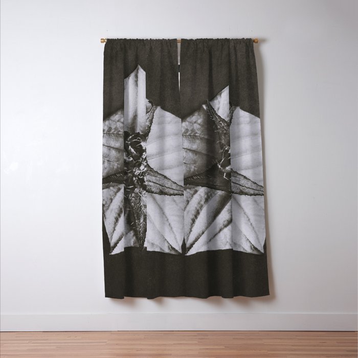 Snowbird, The Magic Garden of Nature, autumn blossom black and white photograph by Karl Blossfeldt Window Curtain Gallery Image 3