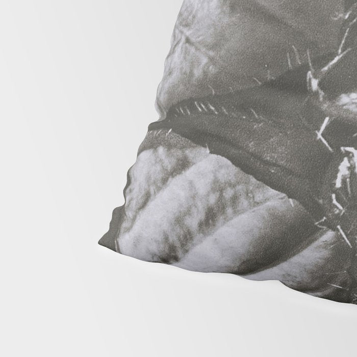 Snowbird, The Magic Garden of Nature, autumn blossom black and white photograph by Karl Blossfeldt Pillow Sham Gallery Image 4
