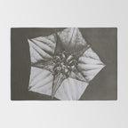 Snowbird, The Magic Garden of Nature, autumn blossom black and white photograph by Karl Blossfeldt Rug Gallery Image 2