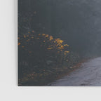 Redwood Forest Black Bear Adventure III Poster Gallery Image 3