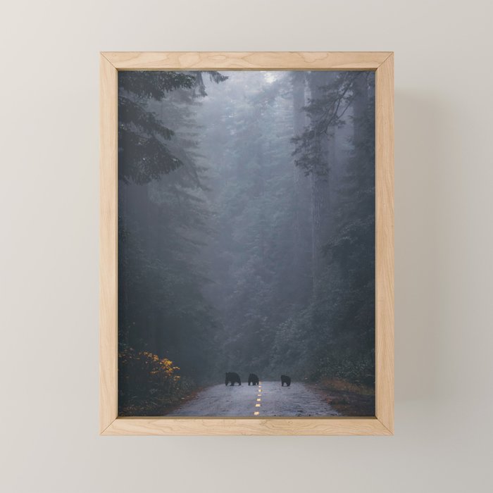 Redwood Forest Black Bear Adventure III Mini Art Print Gallery Image 1